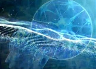 LE VOYAGE INTRACELLULAIRE